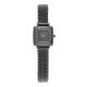 Skagen Ladies' Classic Watch